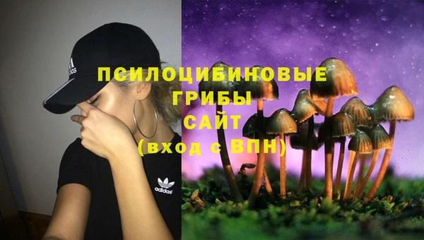 марки nbome Аркадак