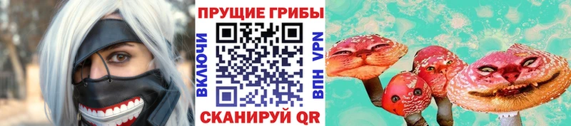 Псилоцибиновые грибы Psilocybe  даркнет сайт  Бавлы 